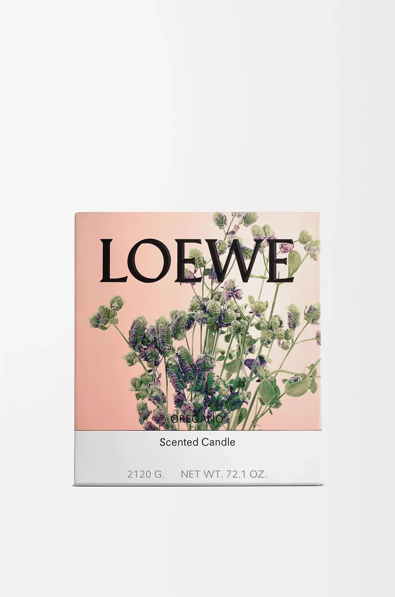 große oregano-kerze weiß