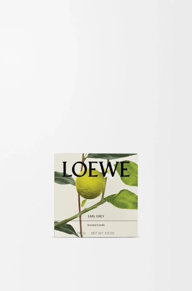 midi earl grey duftkerze gold