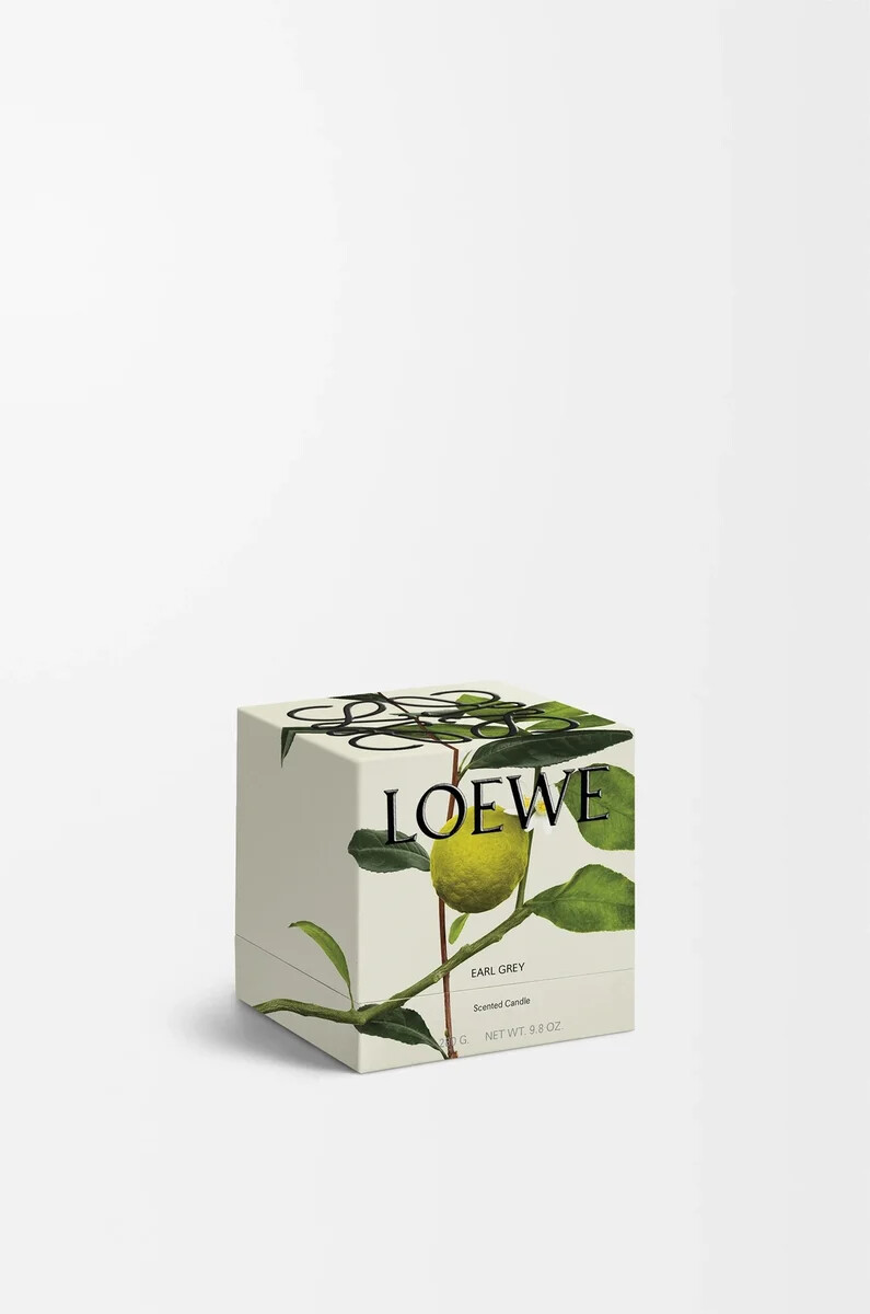 midi earl grey duftkerze gold