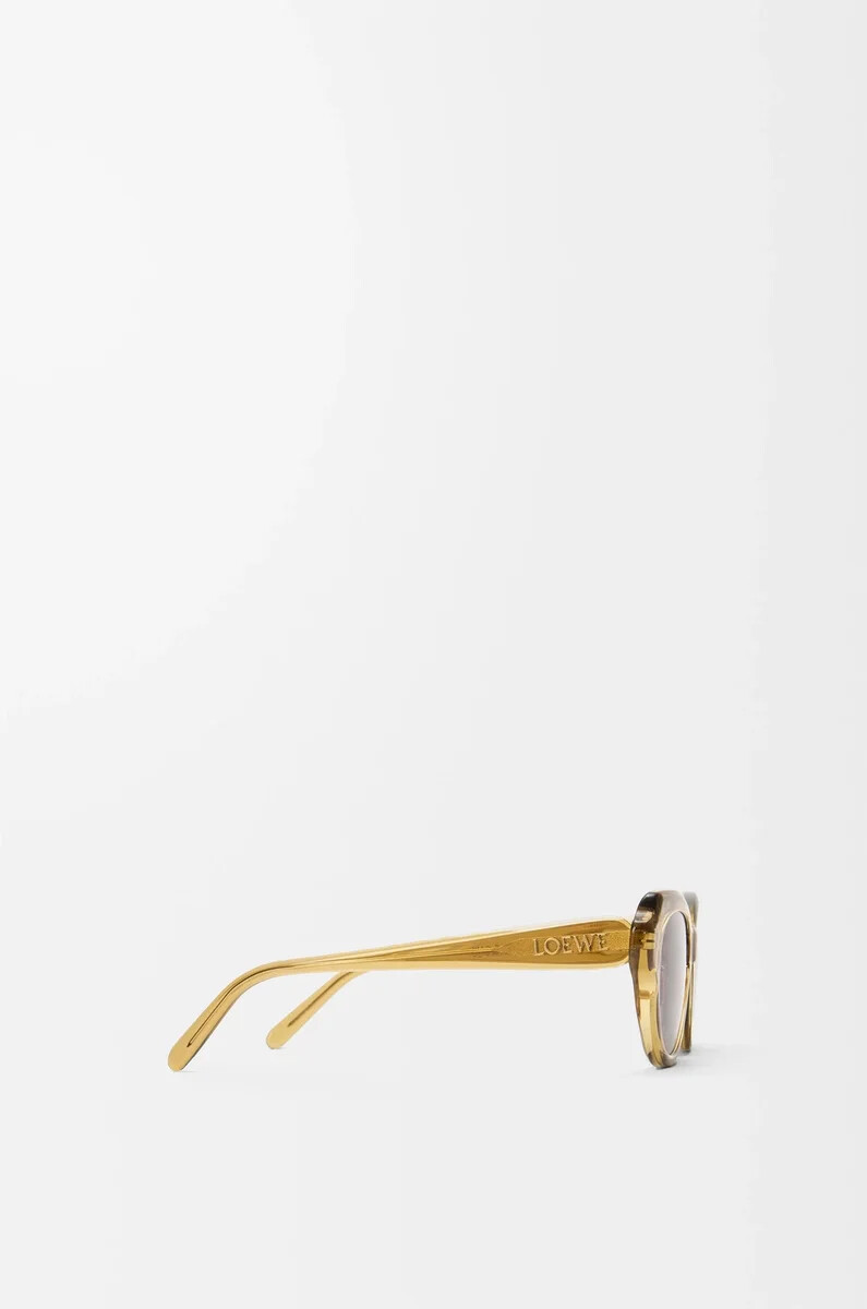 swan slim sonnenbrille transparent olive